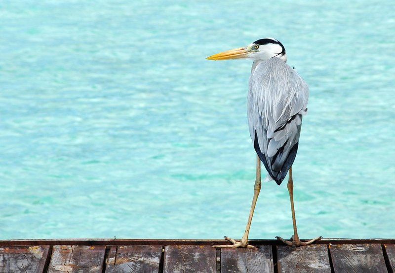 на, посту photo preview