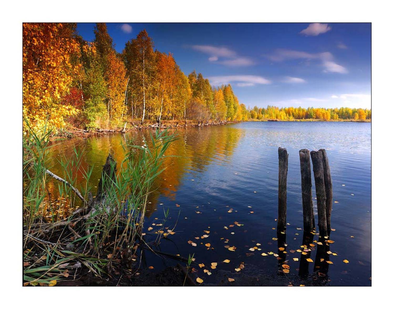 -*-. Автор: Дмитрий Лялин , Дмитрий Лялин