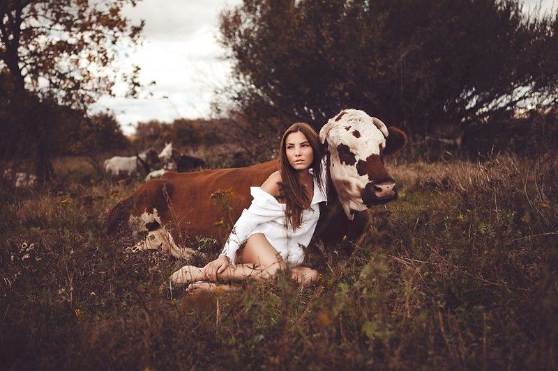 в полеphoto preview