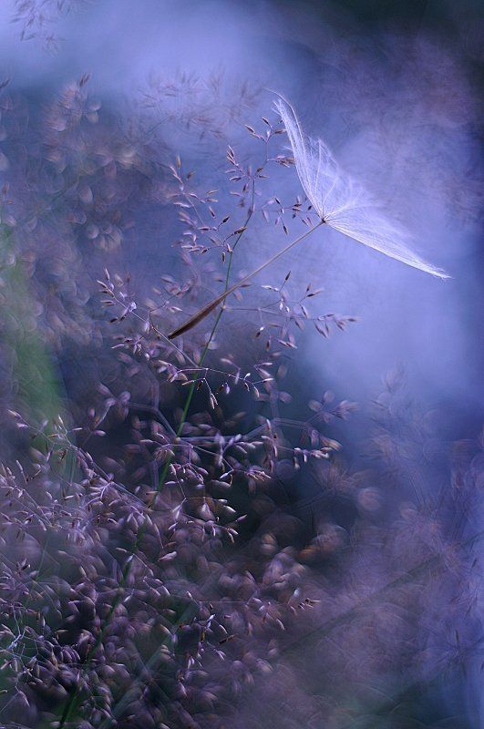 bed-time storiesphoto preview