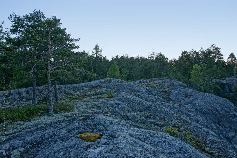 Ночноеphoto preview