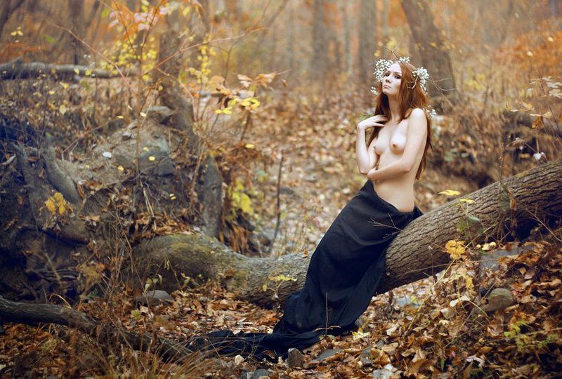 осень tale of autumnphoto preview