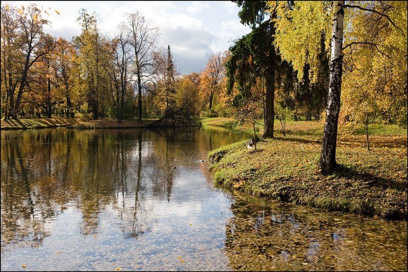александровский, парк., октябрь. ***photo preview