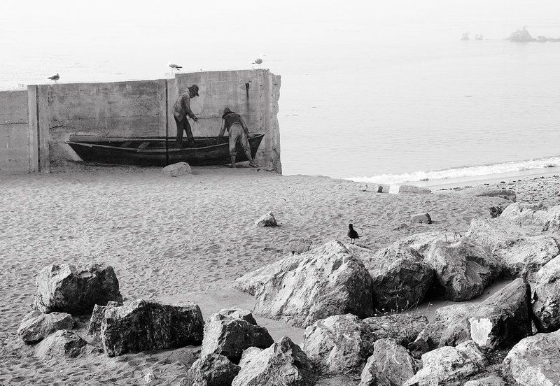 Cannary Rawphoto preview