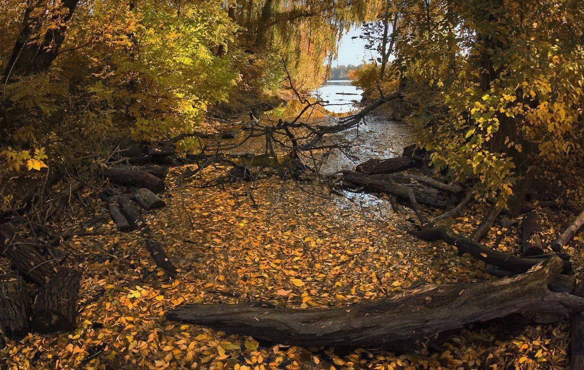 , Игорь Мелекесцев