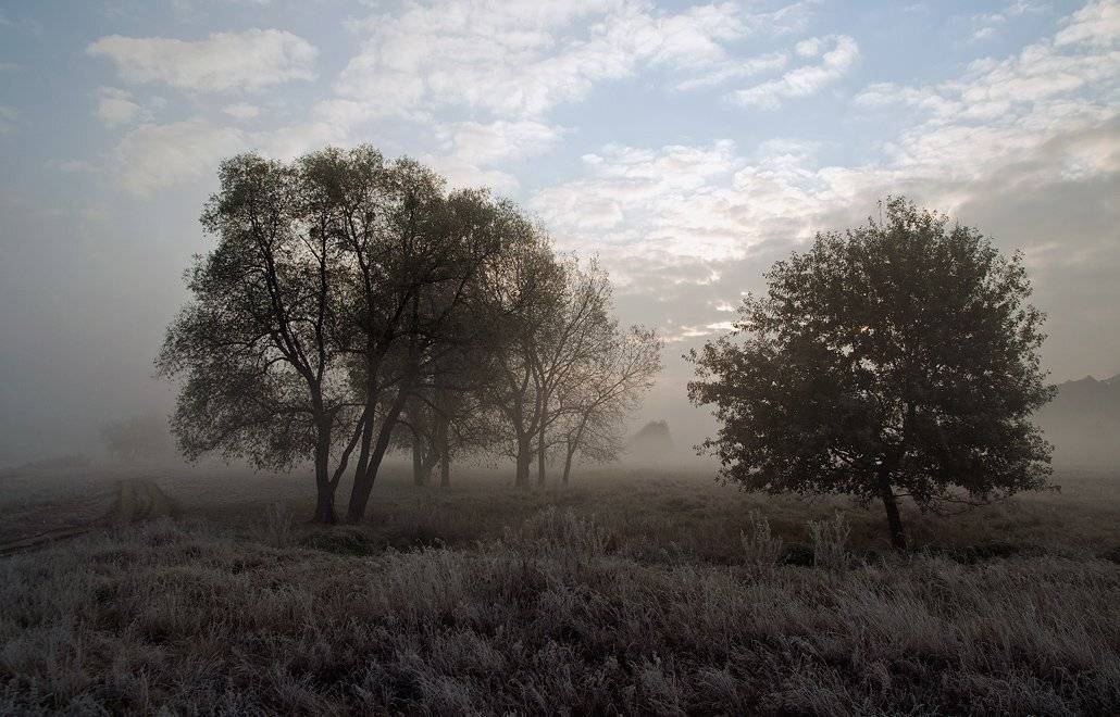 Автор: WENIK , WENIK