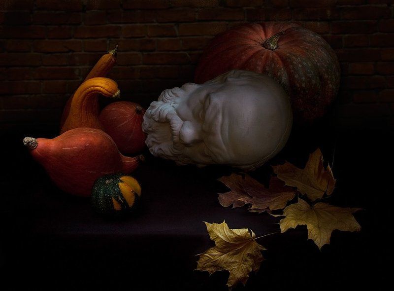 осень, тыквы, сократ, листья, свой, чужой свой среди чужих...photo preview