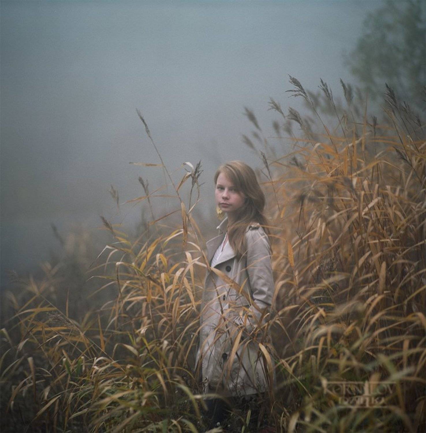 ... in a fog. Автор: Дмитрий Корнилов юля, , , шевченко, , туман, средний, , , формат, , , плёнка, , , пленка, , , киев, , , 88, , , 6x6, , , сф, , , portra, , , фотосайт, , , северные, , , земли, , , дмитрий, , , корнилов, , , владивосток, Дмитрий Корнилов