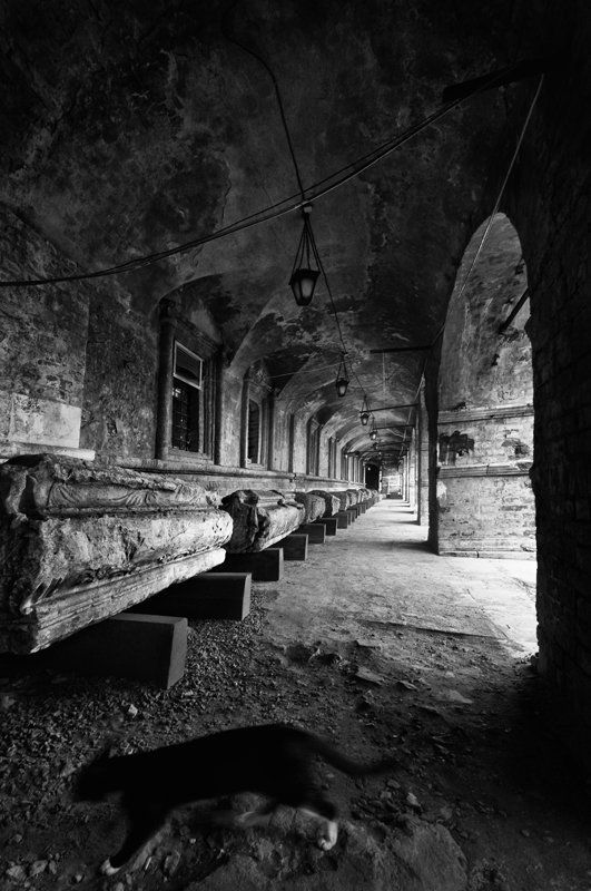 монастырь, надгробья photo preview