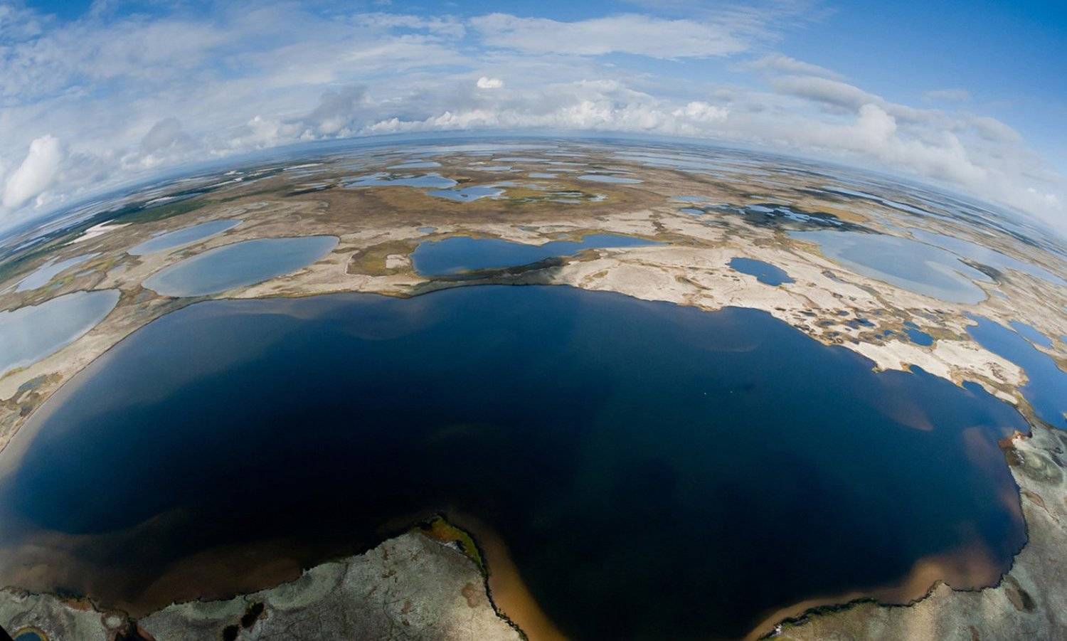 летние краски тундры. Автор: Danil Husainov аэросъемки,север, лето,ямал, тундра, Danil Husainov