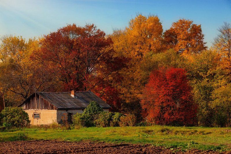 Провожая теплую осеньphoto preview