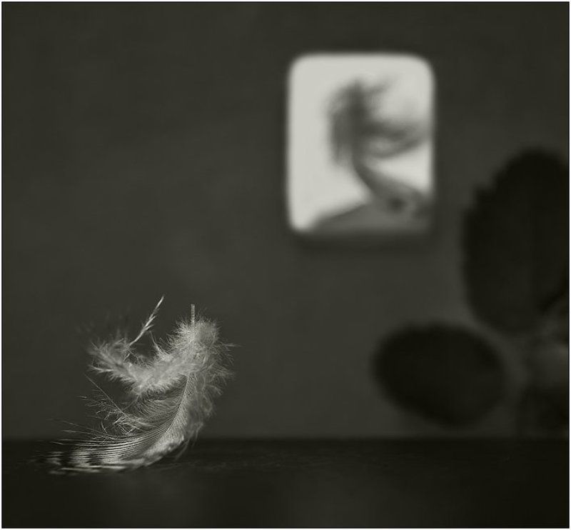 Серенадаphoto preview