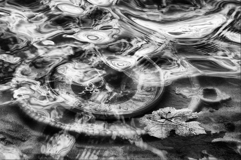 с берега к берегу, с отмели к отмели...photo preview