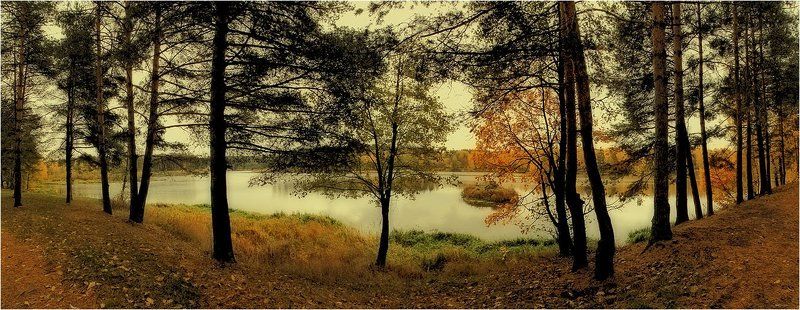 осень, природа, пейзаж, озеро, панорама Осенняя палитра... фото превью