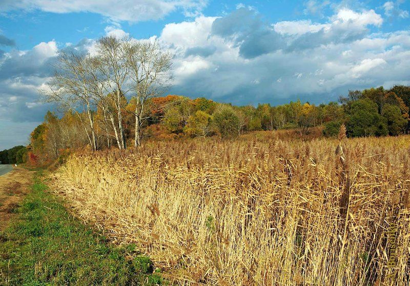 октябрьphoto preview