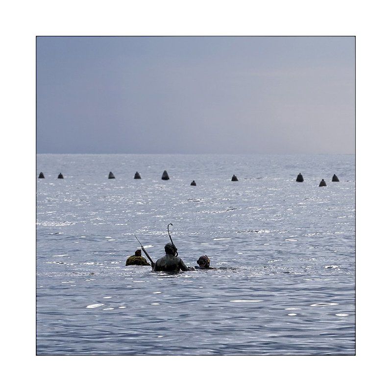 крым, кацивели Охота...photo preview