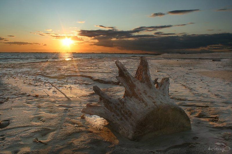 пейзаж, reservoir/ навстречу солнцуphoto preview