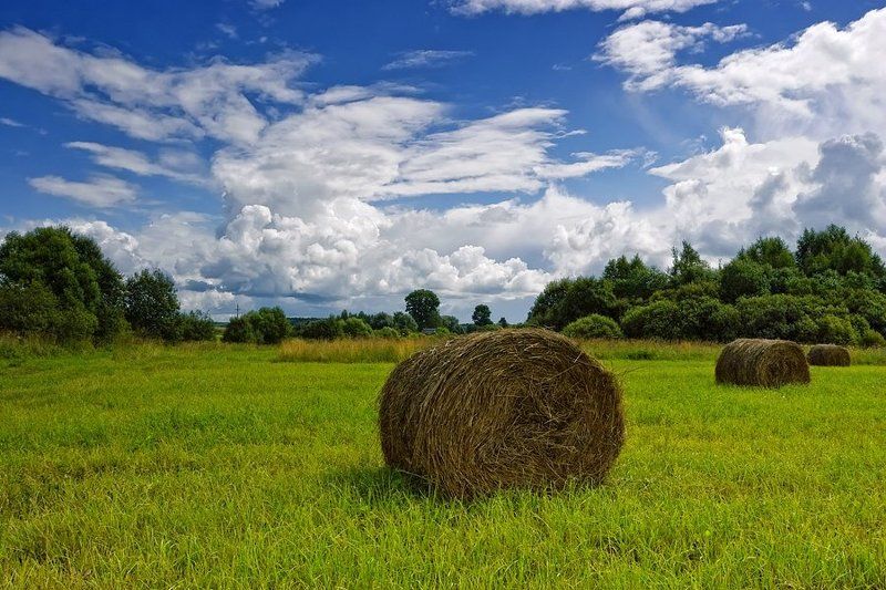 пейзаж, , лето, облака Однажды,в конце лета...photo preview