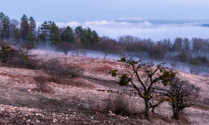 Сезон тумановphoto preview