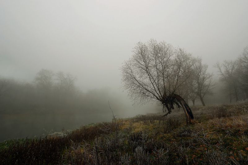 осень, октябрь, , река, вечер, туман, иней, мороз ***photo preview