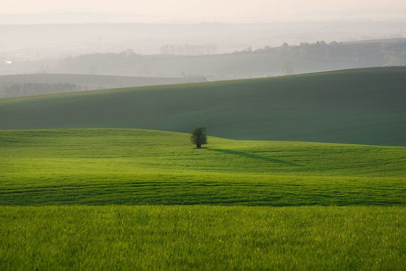 Утро в Моравииphoto preview