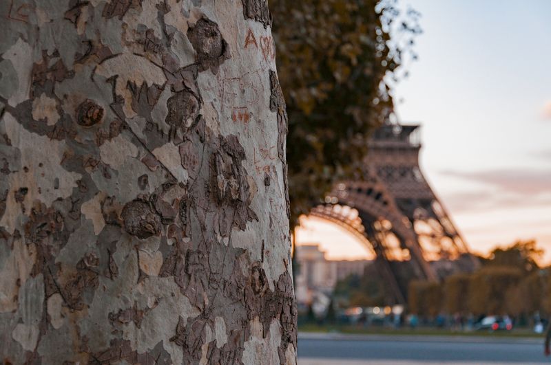 Amour éternelphoto preview