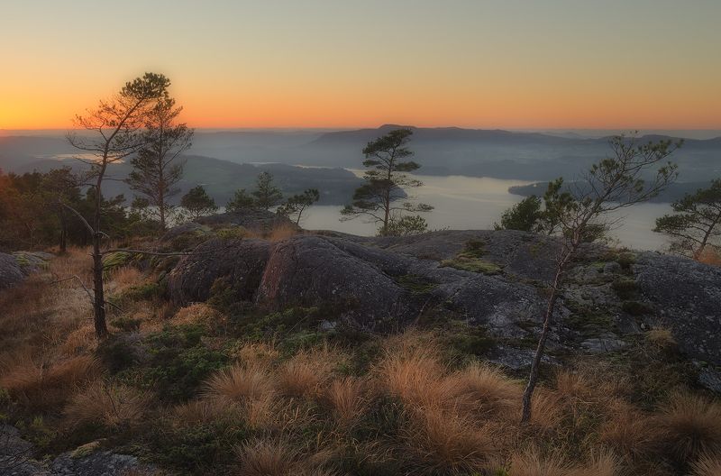 Skrubbahaugenphoto preview