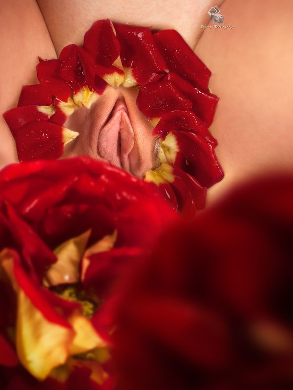 art nu,  photo, photography, eroticism, sexual, artistic erotica, girl, naked body, nude, nu, топлес, фотохудожники, художественная фотография, ретушь, эротика, ню, обнажённое тело, сексуальность, фотосессии в краснодаре Как хороши, как свежи были розы...photo preview