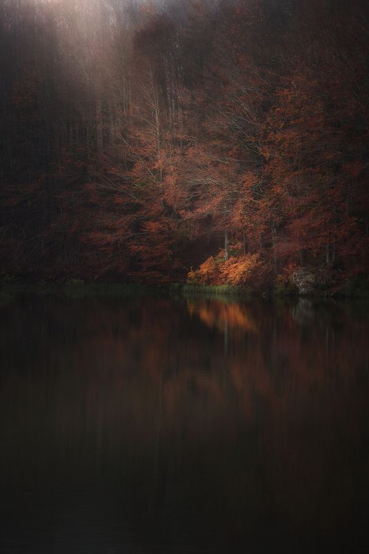 red autumn soft autumn continues to the lakephoto preview