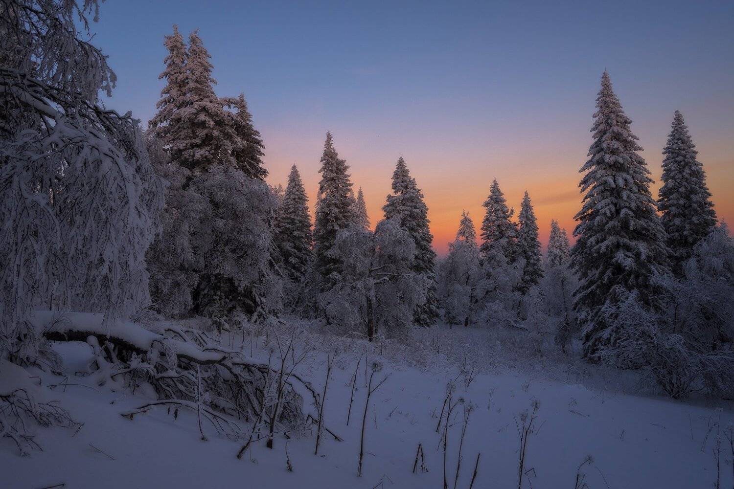 , Андрей Шарапов