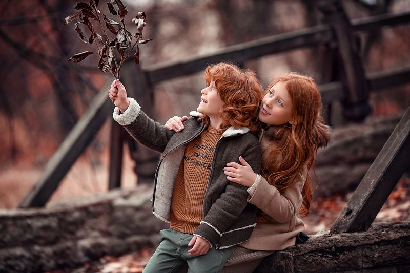 Цвет ноябряphoto preview