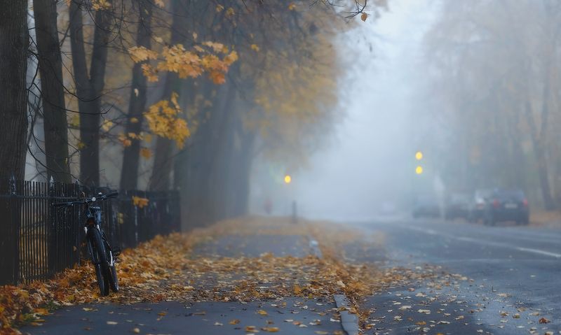 питер, осень, пушкин, спб, пейзаж, царское село, landscape,tsarskoye selo , autumn,  городской пейзаж, туман,  санкт-петербург Осторожно. . .  осеньphoto preview