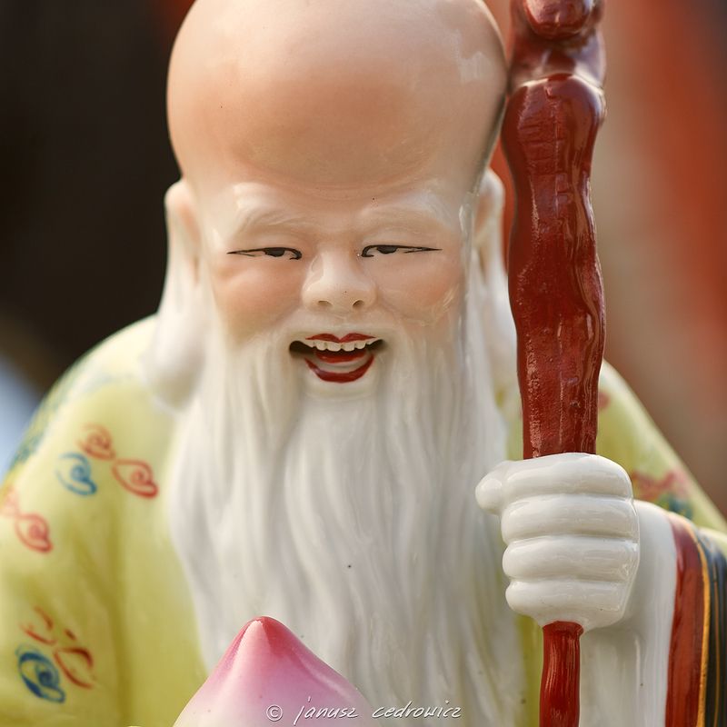 portrait,porcelain,figure,figurine,closeup,macro,face,little,toy,design,doll,artwork,model,sculpture,artdoll,art,people, ... фото превью