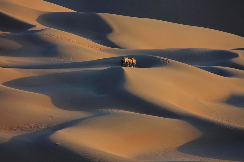 At desert 7photo preview