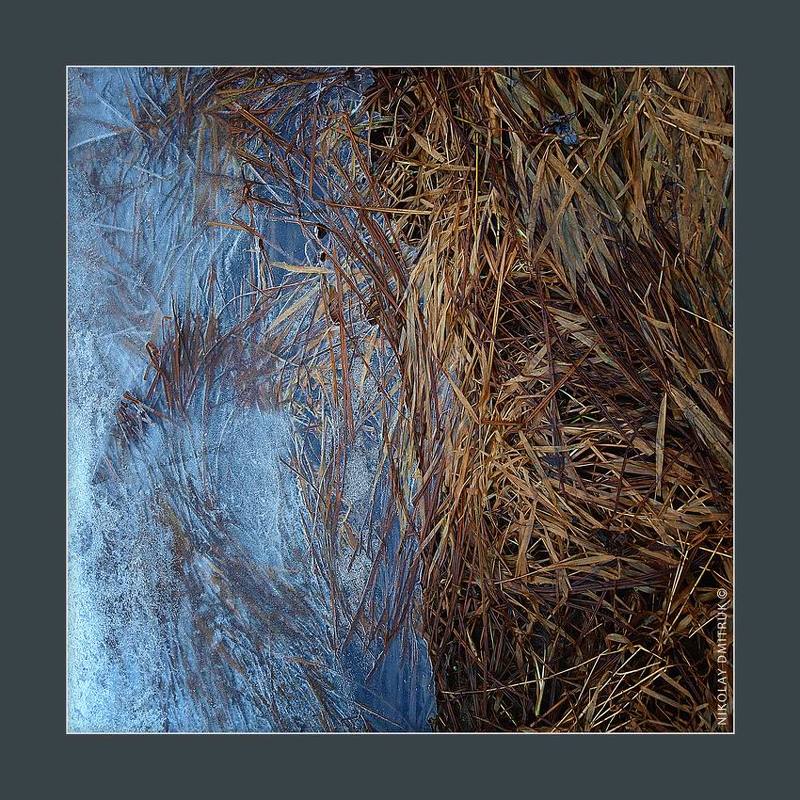 без, категории середина ноября. 2018photo preview