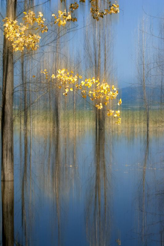 Landscape Golden autumnphoto preview