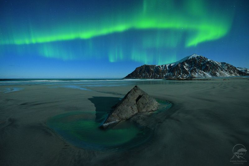 пейзаж, природа, море, норвегия, лофотены,аврора Skagsanden beach фото превью