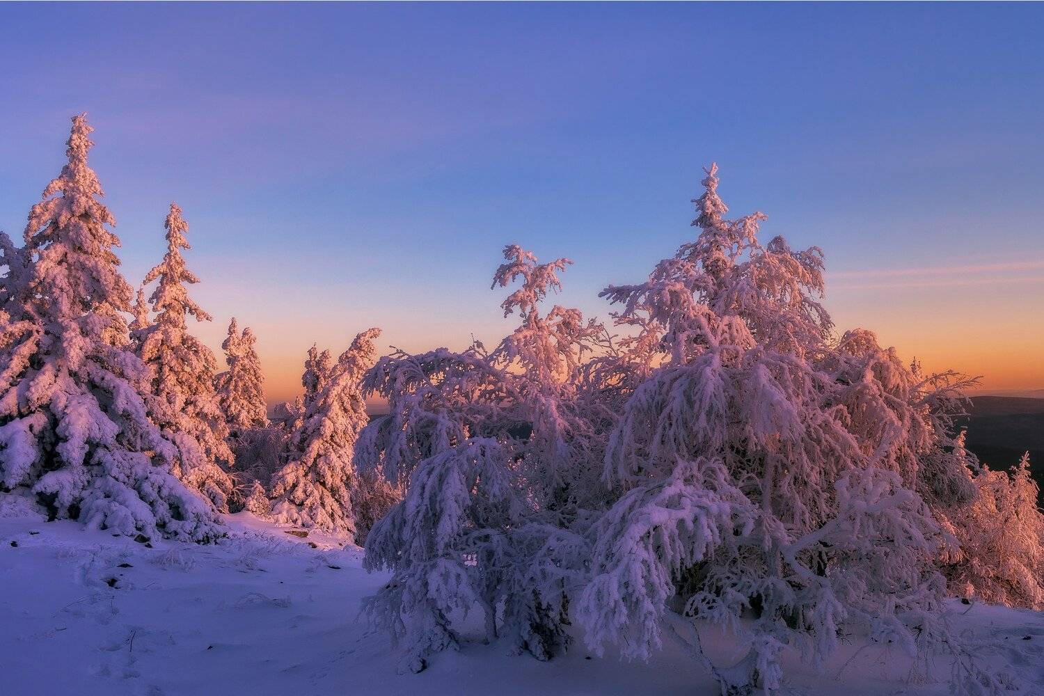 , Андрей Шарапов