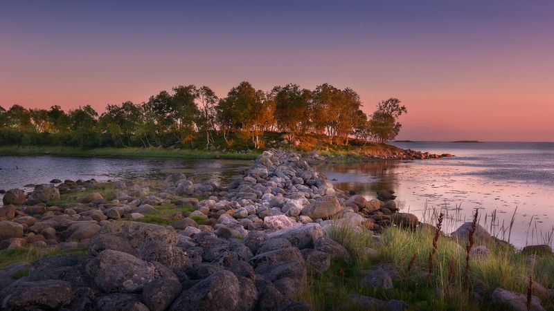 #dervod #drevo #Соловки #Филипповскиесадки Рассвет на филипповских садкахphoto preview