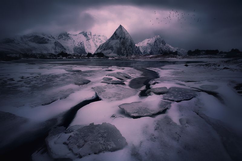 Десяткаphoto preview