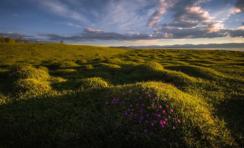 монголия, хубсугул В закатном свете...photo preview
