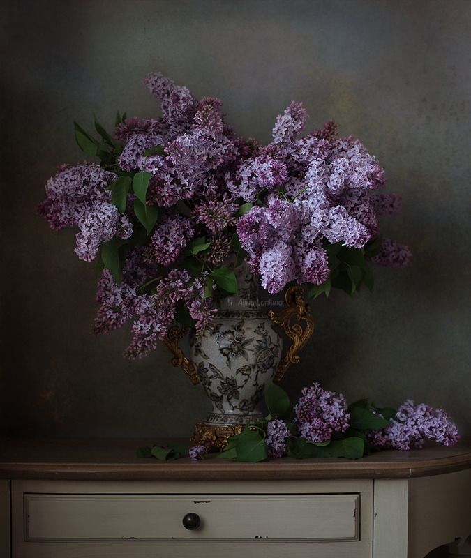 натюрморт, цветы, букет, сирень, весна, ваза, свет ***photo preview