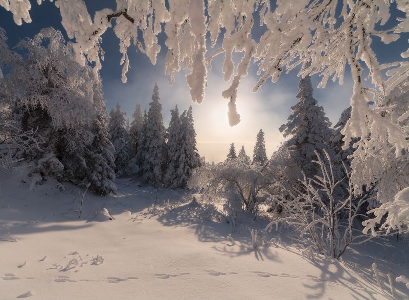 Из детских сновphoto preview