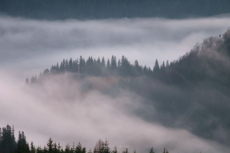 #dji, #drone, #dronestagram, #djiglobal, #dronephotography, #djiphantom, #droneoftheday, , #dronefly, #photography, #djiphantom4prov2, #aerial, #landscape, #nature, #paysage, #sunrise, , #sunset, #earth_shotz, #riyet, #earthpix, #beautifuldestinations, #e *** фото превью