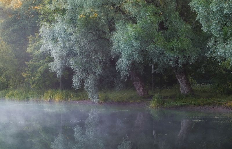 питер, пушкин, царскоесело, царское, утро, рассвет, туман, пейзаж, гелиос, helios,  landscape, tsarskoyeselo Там чудеса. . .photo preview