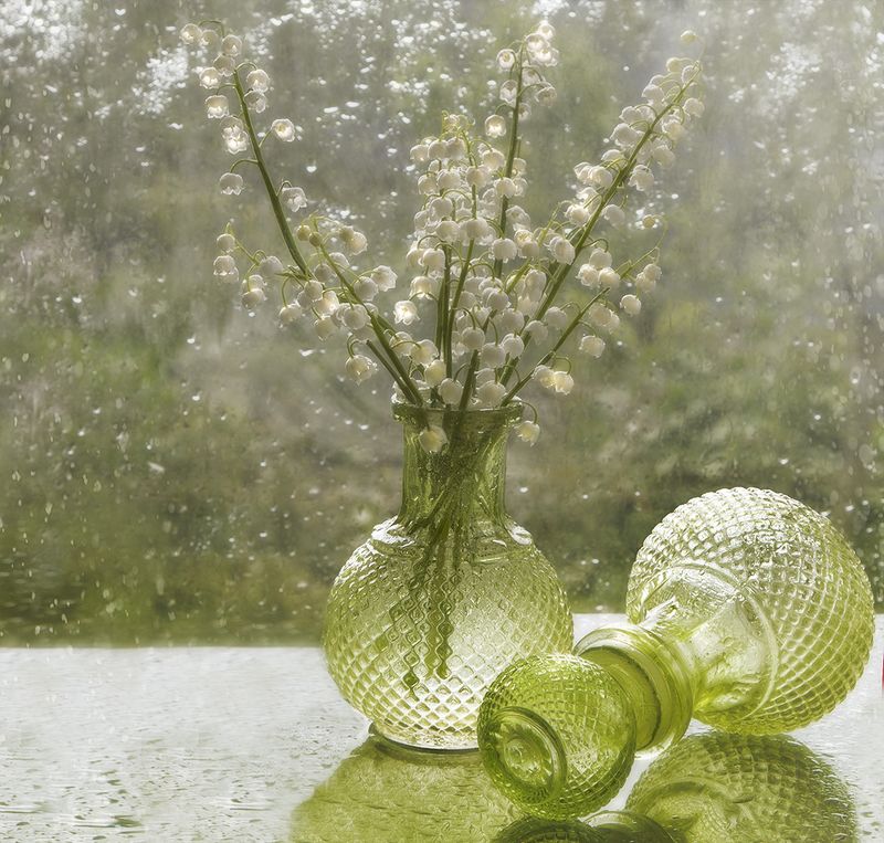 Просто ландышиphoto preview