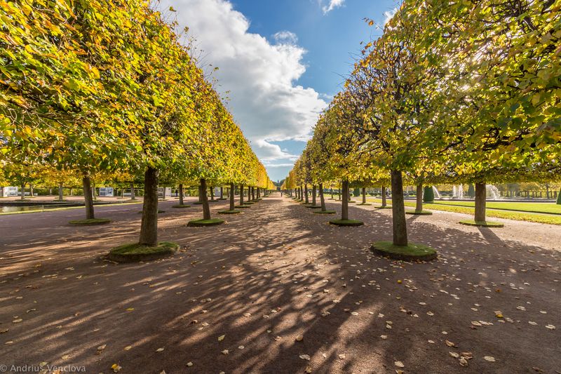 Autumn Alleyphoto preview