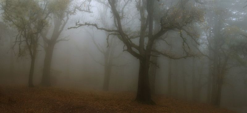 Туманphoto preview