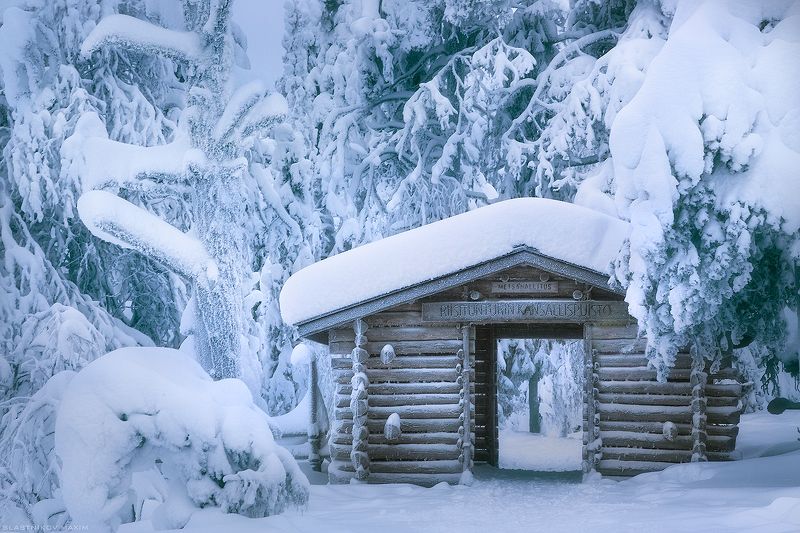 финляндия, снег, дерево, дом, тропинка, сугробы, мороз, холод, лес, путешествие, парк, travel, explore, snow, frost, trees, forest, travel, trekking, day, winter Winter\'s Talephoto preview