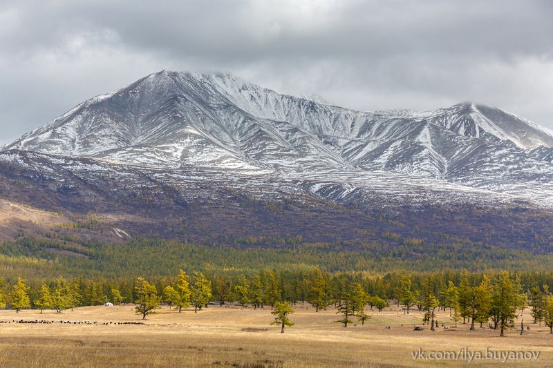 Mönkh Saridagphoto preview